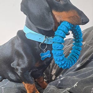 Charley added a photo of their purchase