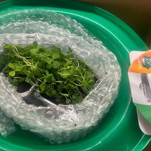 Laura added a photo of their purchase