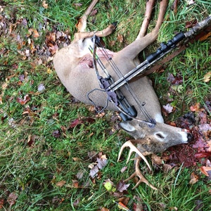 Timothy added a photo of their purchase