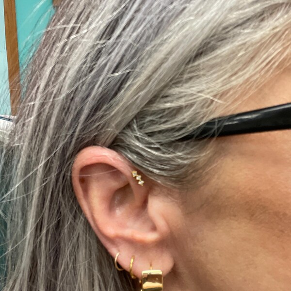 Hoop Nose Jewelry Gold Hinged Segment Nose Ring Clicker - 20G To - Foto 12