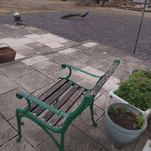 Kate hat ein Foto des gekauften Artikels hinzugefügt