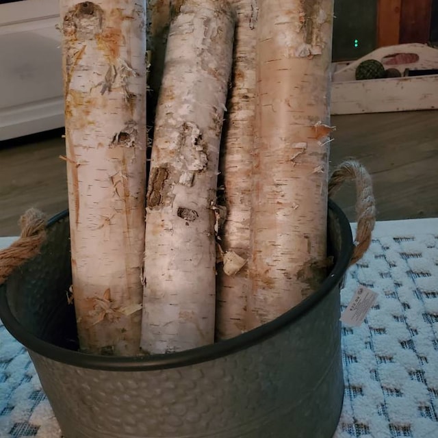 6 gorgeous birch logs! Great for decorating or burning. - general for sale  - by owner - craigslist