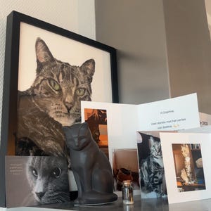 Daphne added a photo of their purchase