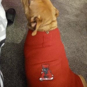 Soft Pastels Nubby Hand Crocheted Ear Warmer & Scarf Set - Etsy