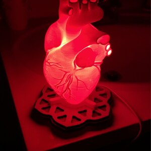Human Heart 3D Printed Accent Lamp, Anatomical, Table Lamp, Novelty