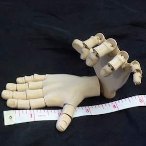 Jean added a photo of their purchase