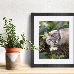 Caryn added a photo of their purchase