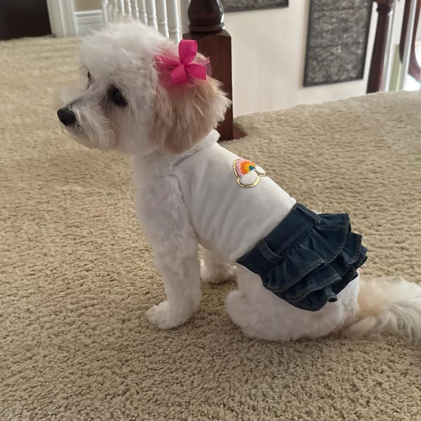 Sommer-Hunde-Shirt Mit Blumenprint – Weich & Atmungsaktiv Für Kleine Hunde