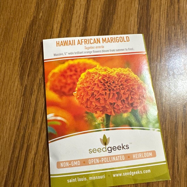 African Marigold, Hawaii Seeds - 200 Heirloom Flower Seeds