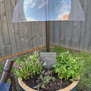 Hanna added a photo of their purchase