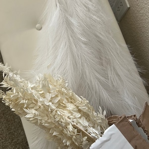 Kelly added a photo of their purchase