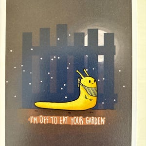 Staz hat ein Foto des gekauften Artikels hinzugefügt