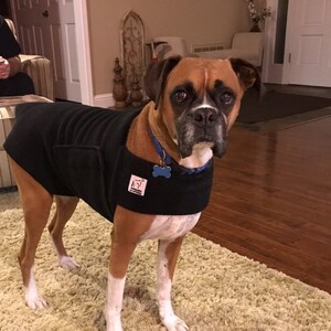 dog sweaters for boxers