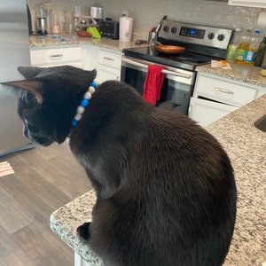 Danielle added a photo of their purchase