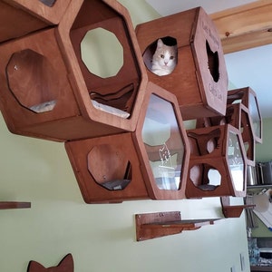 Cathy added a photo of their purchase