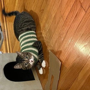 Alyssa added a photo of their purchase