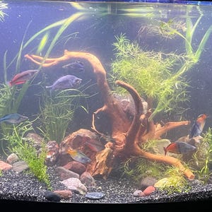 Stacy added a photo of their purchase
