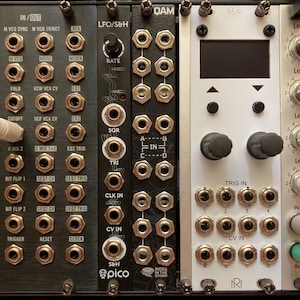 Lina added a photo of their purchase