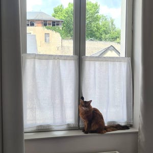 Julia ha aggiunto una foto del proprio acquisto