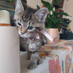 Stephanie ha añadido una foto de su compra