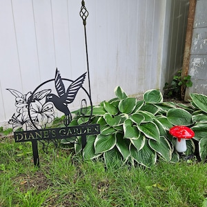 Robert added a photo of their purchase