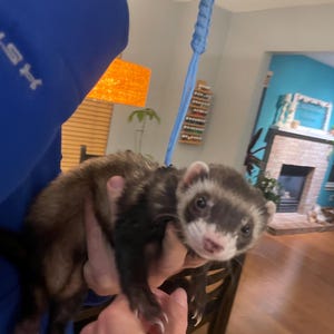 Jaime added a photo of their purchase