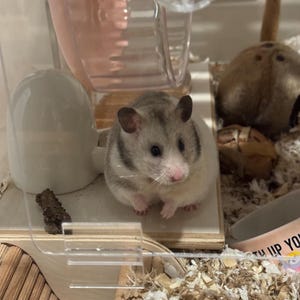 Alison added a photo of their purchase