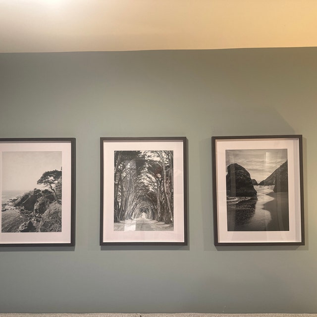9 Matted 5x5 Prints in 20x20 Frame - Sharyn Peavey Photography
