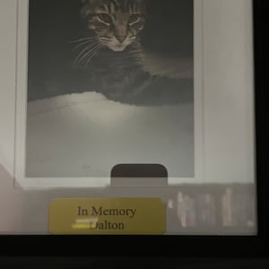 Emily hat ein Foto des gekauften Artikels hinzugefügt