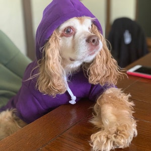 Jen ha añadido una foto de su compra