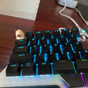 Comprador de Etsy ha añadido una foto de su compra