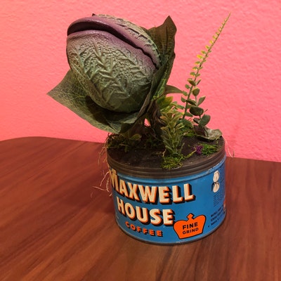 Baby Audrey II Replica Prop Display From little Shop of Horrors - Etsy