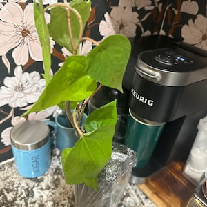 Priya added a photo of their purchase