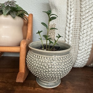 Mira added a photo of their purchase