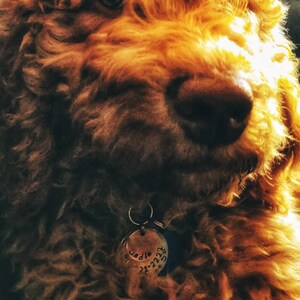 rees584 added a photo of their purchase