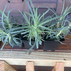 Jesse added a photo of their purchase