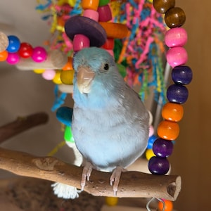 Phyllis added a photo of their purchase