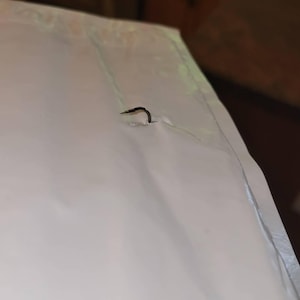 adrianne ha añadido una foto de su compra