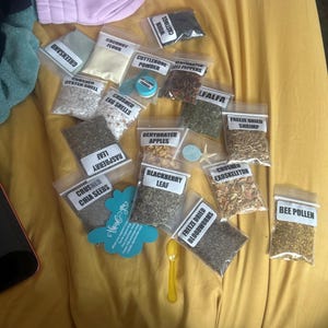 The Hermit Crab Shack Pack | Hermit Crab Food