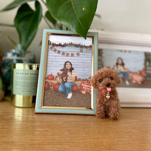 Diane added a photo of their purchase