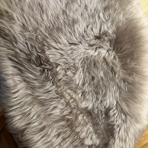Barb added a photo of their purchase