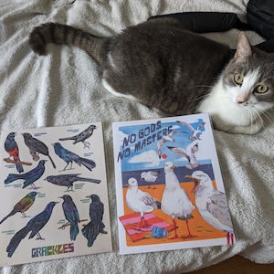 VERONIKA さんが購入した商品の写真を追加しました