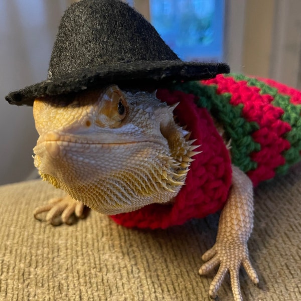 Crocheted Freddy Krueger Bearded Dragon Costume | Lizard Clothing - Etsy