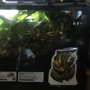 Alexander added a photo of their purchase