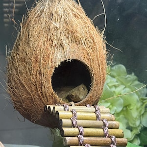 Brittany added a photo of their purchase