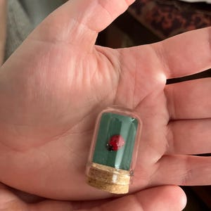 jackie added a photo of their purchase
