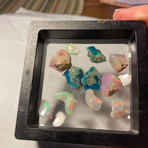 Diane added a photo of their purchase