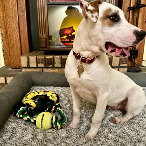Maggie added a photo of their purchase