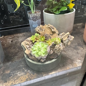 Heather added a photo of their purchase