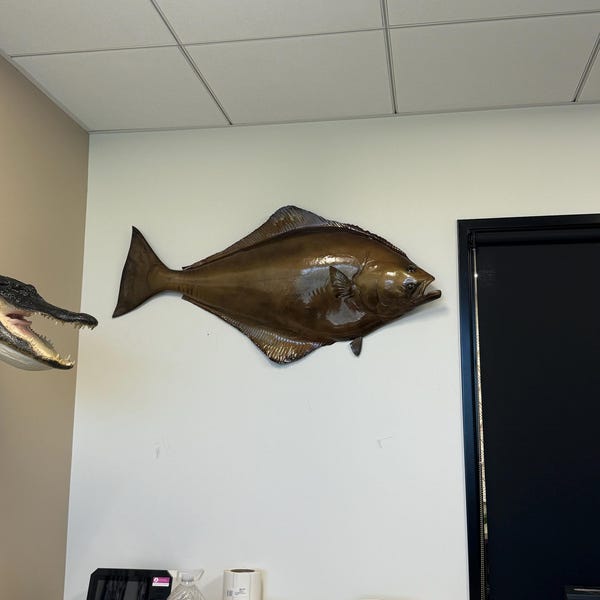 Redfish Fish Mount 40 Inches Half Mount - Etsy